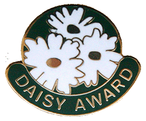 Award Pin